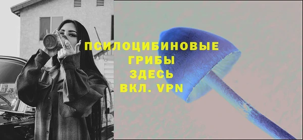 PSILOCYBIN Балахна
